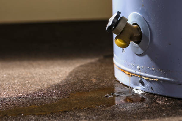  West Unity, OH Water damage restoration Pros