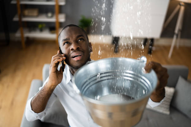 Best Water damage restoration near me  in West Unity, OH