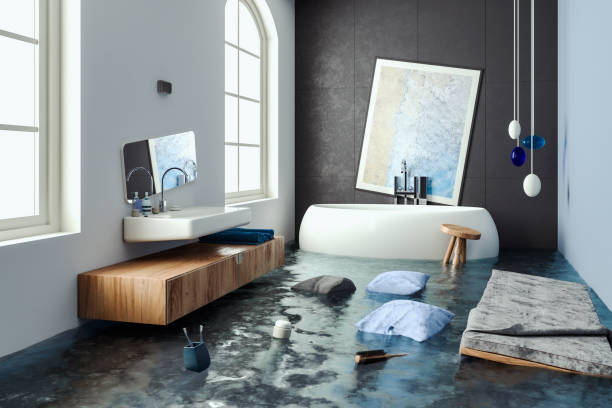 Best Carpet water damage restoration  in West Unity, OH