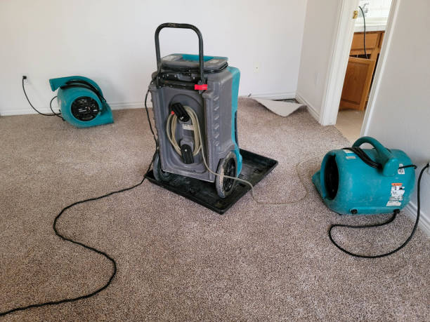 Best Ceiling water damage repair  in West Unity, OH