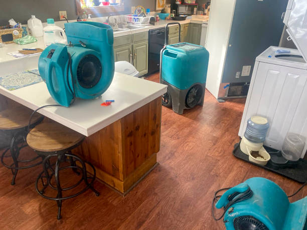 Professional Water damage restoration in West Unity, OH