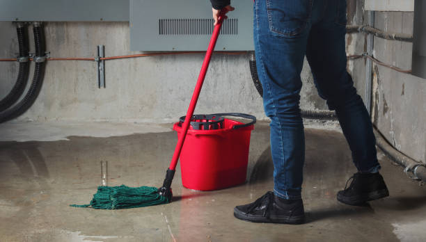 Best Local water damage restoration  in West Unity, OH