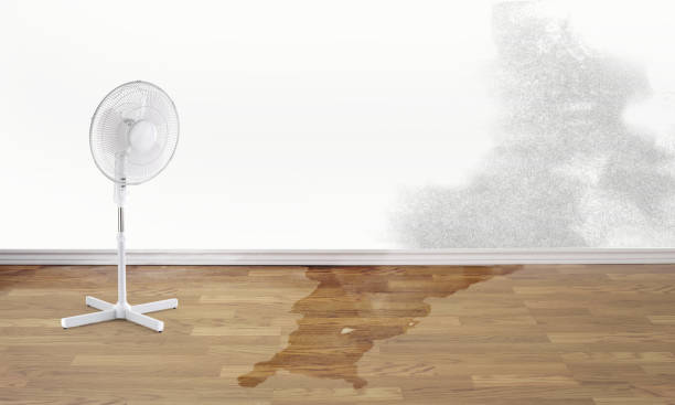 Best Flooded house restoration  in West Unity, OH