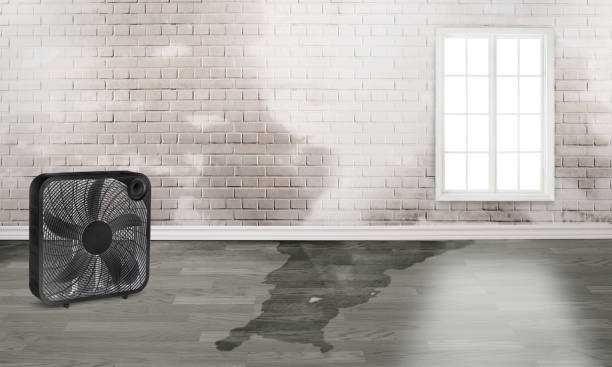Best Emergency water damage restoration  in West Unity, OH