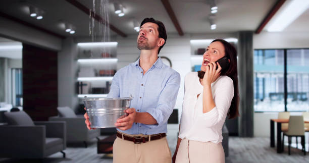 Best Water damage contractors near me  in West Unity, OH