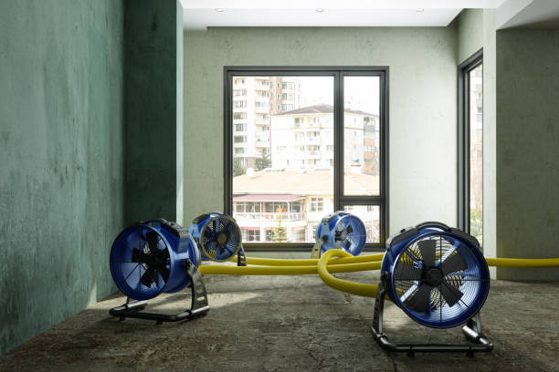 Best Commercial water damage restoration  in West Unity, OH